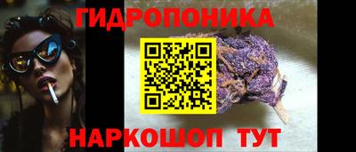 СК Тулун